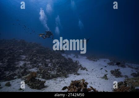 Les plongeurs explorent les récifs coralliens vibrants sous la surface des eaux turquoise de la mer Banque D'Images