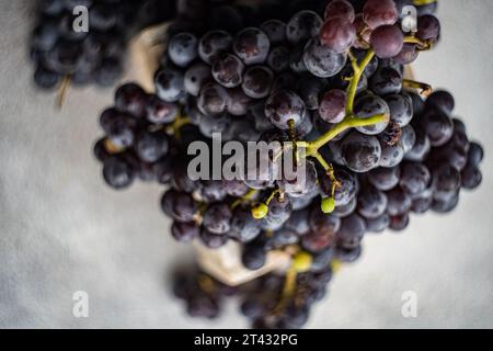 Gros plan de grappes de raisins noirs saperavi dans une caisse en bois Banque D'Images