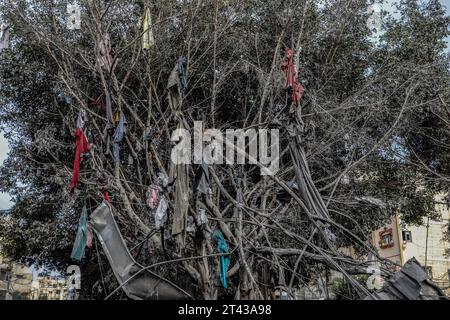 Rafah, Territoires palestiniens. 28 octobre 2023. Des vêtements déchirés pendent des branches d'arbres à la suite des bombardements israéliens. Crédit : Abed Rahim Khatib/dpa/Alamy Live News Banque D'Images