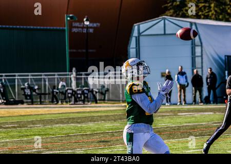 Edmonton, Canada. 30 août 2023. Les Golden Bears de l'Université de l'Alberta (84) carter Kettyle reçoit un ballon punté dans leur match contre les Huskies de l'Université de la Saskatchewan. Les deux équipes sont entrées dans le match à égalité pour la première fois au classement Canada West avec 4 victoires et 1 défaites au Foote Field, Edmonton AB, Canada. Score final Alberta 23:20 Saskatchewan (photo de Ron Palmer/SOPA Images/Sipa USA) crédit : SIPA USA/Alamy Live News Banque D'Images