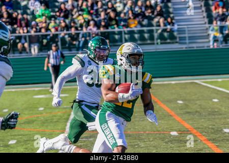 Edmonton, Canada. 30 août 2023. L’Ours doré de l’Université de l’Alberta (22) Jonathan Rosery brise les sidleines devant les Huskies de l’Université de la Saskatchewan (35) Kody Gutek au combat Canada-Ouest. Les deux équipes sont entrées dans le match à égalité pour la première fois au classement Canada West avec 4 victoires et 1 défaites au Foote Field, Edmonton AB, Canada. Score final Alberta 23:20 Saskatchewan (photo de Ron Palmer/SOPA Images/Sipa USA) crédit : SIPA USA/Alamy Live News Banque D'Images