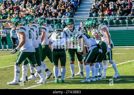 Edmonton, Canada. 30 août 2023. Les Huskies Huddle de l’Université de la Saskatchewan vont préparer le match pour la 2e descente et 4e, dans leur match contre les Golden Bears de l’Université de l’Alberta dans l’action de Canada Ouest. Les deux équipes sont entrées dans le match à égalité pour la première fois au classement Canada West avec 4 victoires et 1 défaites au Foote Field, Edmonton AB, Canada. Score final Alberta 23:20 Saskatchewan (photo de Ron Palmer/SOPA Images/Sipa USA) crédit : SIPA USA/Alamy Live News Banque D'Images