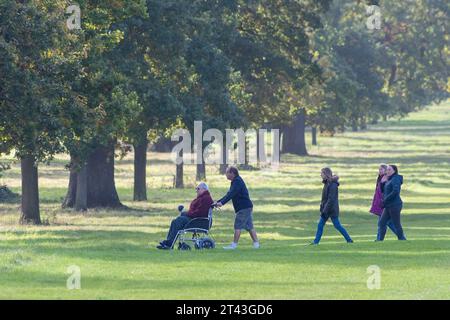 Windsor, Berkshire, Royaume-Uni. 28 octobre 2023. C'était un jour de soleil et d'averses alors que les gens étaient dehors paître dans Windsor Great Park dans le Berkshire aujourd'hui. Crédit : Maureen McLean/Alamy Live News Banque D'Images