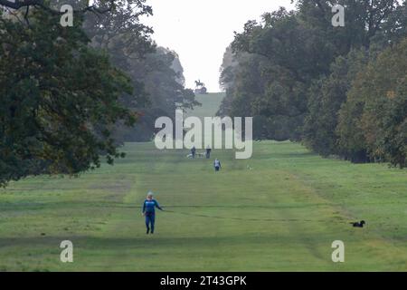 Windsor, Berkshire, Royaume-Uni. 28 octobre 2023. C'était un jour de soleil et d'averses alors que les gens étaient dehors paître dans Windsor Great Park dans le Berkshire aujourd'hui. Crédit : Maureen McLean/Alamy Live News Banque D'Images