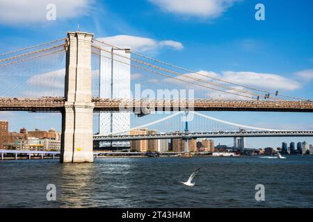 One Manhattan Square condominiums et le pont de Brooklyn vu de South St., Seaport, 2023, New York City, États-Unis Banque D'Images