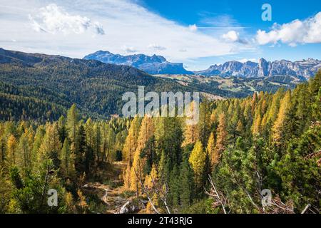 Vue sur une forêt de mélèzes et les montagnes environnantes en automne près de Alta Badia dans les montagnes Dolomites de l'Italie. Banque D'Images