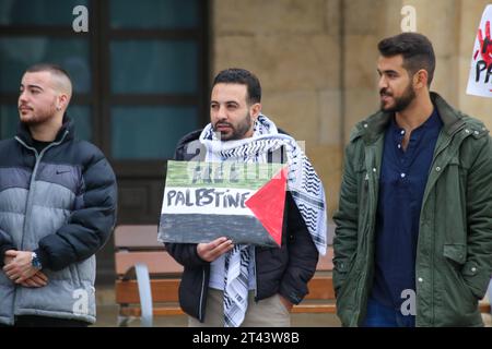 Aviles, Espagne. 28 octobre 2023. Un garçon porte une pancarte tracée sur le drapeau de la Palestine et avec 'Palestine libre' pendant le rassemblement en faveur de la Palestine, fin du génocide, fin de l'occupation, le 28 octobre 2023, à Aviles, Espagne. (Photo Alberto Brevers/Pacific Press) crédit : Pacific Press Media production Corp./Alamy Live News Banque D'Images