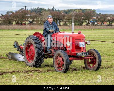 Tracteur et charrue David Brown vintage aux championnats écossais de labourage Banque D'Images