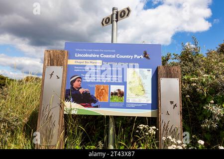 Le Lincolnshire Coastal Country Park à Chapel six Marshes près d'Anderby Creek sur la côte du Lincolnshire, Angleterre, Royaume-Uni Banque D'Images