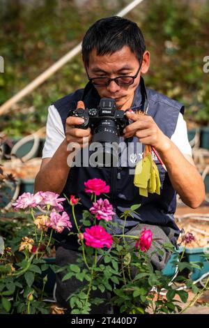 (231028) -- KUNMING, 28 octobre 2023 (Xinhua) -- Tian Liantong prend des photos de roses dans un jardin de démonstration de plantation de roses d'un parc agricole moderne à Anning City, dans la province du Yunnan, au sud-ouest de la Chine, le 20 octobre 2023. En août 2022, plus de 8 000 graines de fleurs sont arrivées au Yunnan Jinke Flower Engineering Research Center Co., Ltd. Après leur voyage de vol spatial à bord du vaisseau spatial habité Shenzhou. La sélection spatiale consiste à exposer des graines ou des souches au rayonnement cosmique et à la microgravité dans l'espace pour muter leurs gènes, afin de créer de nouvelles espèces ou variétés avec de plus grandes performances comme Shor Banque D'Images