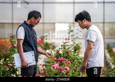 (231028) -- KUNMING, 28 octobre 2023 (Xinhua) -- Tian Liantong (à gauche) s'entretient avec son collègue dans un jardin de démonstration de plantation de roses d'un parc agricole moderne à Anning City, dans la province du Yunnan, dans le sud-ouest de la Chine, le 20 octobre 2023. En août 2022, plus de 8 000 graines de fleurs sont arrivées au Yunnan Jinke Flower Engineering Research Center Co., Ltd. Après leur voyage de vol spatial à bord du vaisseau spatial habité Shenzhou. L'élevage spatial se réfère à l'exposition de graines ou de souches au rayonnement cosmique et à la microgravité dans l'espace pour muter leurs gènes, afin de créer de nouvelles espèces ou variétés avec de plus grandes performances comme Banque D'Images