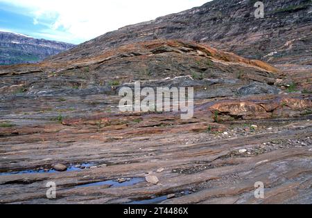 Le schist est une roche métamorphique à la foliation (texture schistose). Cette photo a été prise en Norvège. Banque D'Images