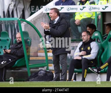 Edimbourg, Royaume-Uni. 28 octobre 2023. Scottish Premiership - Hibernian FC v Celtic FC 28/10/2023 l'entraîneur Celtic, Brendan Rodgers, comme Hibernian affronte Celtic dans le Scottish Premiership au Easter Road Stadium, Édimbourg, Royaume-Uni crédit : Ian Jacobs/Alamy Live News Banque D'Images