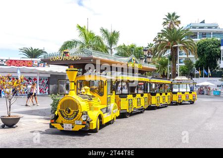 Parada ΤraIn Loro Parque (train navette), Plaza de los Reyes Catolicos, Puerto de la Cruz, Tenerife, Îles Canaries, Royaume d'Espagne Banque D'Images