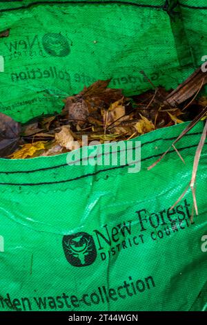 nouveau sac de collecte de déchets de jardin du conseil de district forestier plein de feuilles d'automne tombées des arbres pendant la saison d'automne dans les bois. Banque D'Images