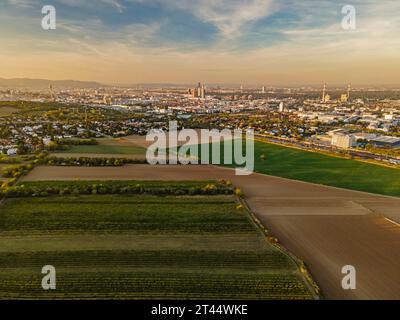 Prise de vue aérienne par drone de champs agricoles dans le sud de Vienne Autriche champs de blé et de vignoble Banque D'Images