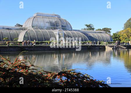 Soleil d'automne près du lac et Palm House à Kew Gardens, dans le sud-ouest de Londres, Royaume-Uni Banque D'Images