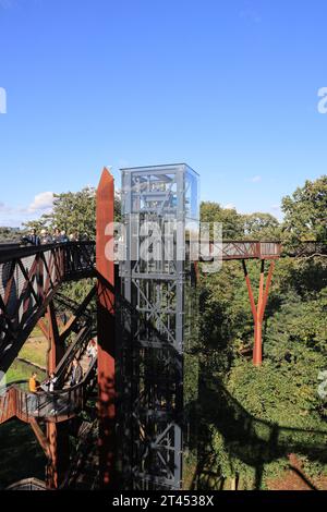 Treetop Walkway de Kew Garden sous le soleil d'automne, dans le sud-ouest de Londres, Royaume-Uni Banque D'Images