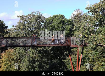 Treetop Walkway de Kew Garden sous le soleil d'automne, dans le sud-ouest de Londres, Royaume-Uni Banque D'Images