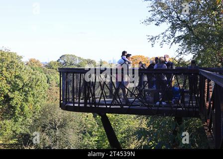 Treetop Walkway de Kew Garden sous le soleil d'automne, dans le sud-ouest de Londres, Royaume-Uni Banque D'Images