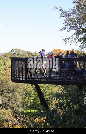 Treetop Walkway de Kew Garden sous le soleil d'automne, dans le sud-ouest de Londres, Royaume-Uni Banque D'Images