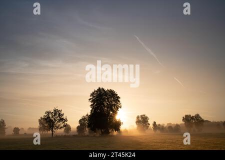 Le soleil se lève derrière les arbres. Les rayons du soleil forment une étoile de lumière entre les arbres. En arrière-plan le ciel couvert de nuages, qui est encore coloré en rouge Banque D'Images