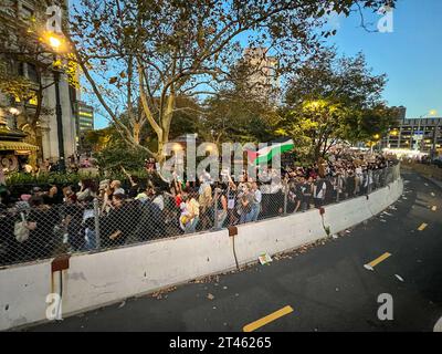 New York, États-Unis. 28 octobre 2023. Des milliers de New-Yorkais ainsi que des descentes palestiniennes tiennent des pancartes pour se tenir solidaires de la Palestine et traverser le pont de Brooklyn à New York. Crédit : Ryan Rahman/Alamy Live News Banque D'Images