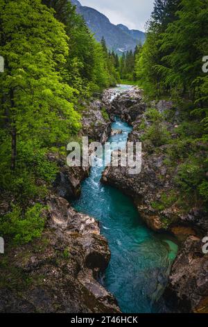 Une des rivières les plus visitées de Slovénie. Grand lieu de loisirs et destination de kayak. Turquoise Soca rivière dans la forêt, Bovec, Slovénie, Europ Banque D'Images