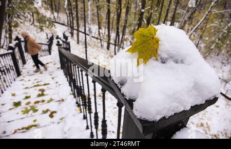 Chemin à travers les arbres jaunissant dans la journée froide d'automne avec la neige et la lumière du soleil Banque D'Images