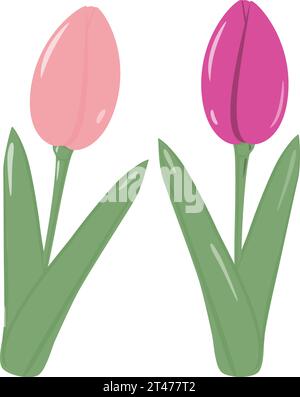 Lot de 2 fleurs de tulipe en fleurs pour bouquets dans des couleurs rose tendance. Printemps. Autocollant. Icône. isoler. EPS. Illustration vectorielle pour carte de voeux ou invitation, prix, étiquette ou web, affiches, bannière Illustration de Vecteur