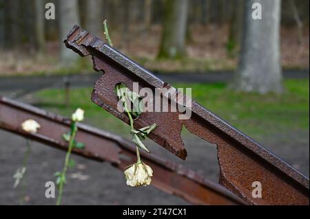 Vestiges du chemin de fer vers le camp Westerbork, un camp de transit pour (principalement) les juifs. Une rose blanche flétrie dans les rails rappelle une commémoration récente Banque D'Images