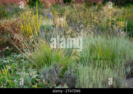 L'été dans les jardins de RHS Bridgewater, Worsley, Salford, Angleterre. Plantation mixte dans le jardin du Paradis. Banque D'Images