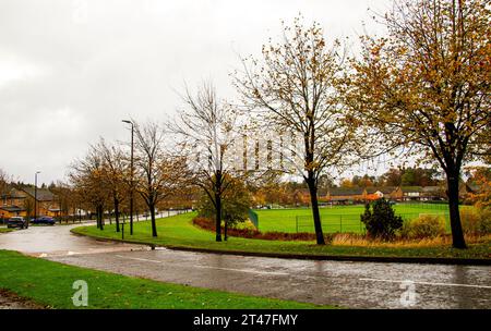 Dundee, Tayside, Écosse, Royaume-Uni. 29 octobre 2023. UK Météo : par un matin d'automne bruyant dans le village Ardler de Dundee, en Écosse, les horloges ont été reculées d'une heure. La pluie persistante dans tout le nord-est de l'Écosse devrait continuer pendant une autre semaine, produisant un bel environnement automnal. Crédit : Dundee Photographics/Alamy Live News Banque D'Images