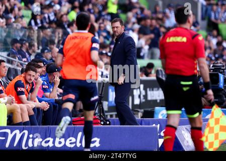 Melbourne, Australie, 29 octobre 2023. L'entraîneur-chef Tony Popovic lors de la 2e manche du match de football masculin de l'Isuzu Ute A-League entre Melbourne Victory et Newcastle Jets au AAMI Park le 29 octobre 2023 à Melbourne, en Australie. Crédit : Dave Hewison/Speed Media/Alamy Live News Banque D'Images