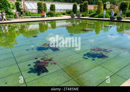 The Lily Pond dans la zone Paradise Garden du Weston Walled Garden dans les jardins RHS Bridgewater, Worsley, Salford, Greater Manchester, UK Banque D'Images