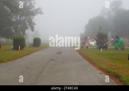 Brouillard dimanche matin à l'automne, automne juste avant Halloween, Spooky!!! Banque D'Images