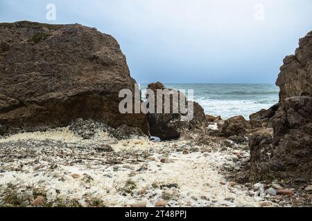 Écume d'eau et de mer sur les roches dolomitiques du parc provincial Arches à Terre-Neuve Banque D'Images