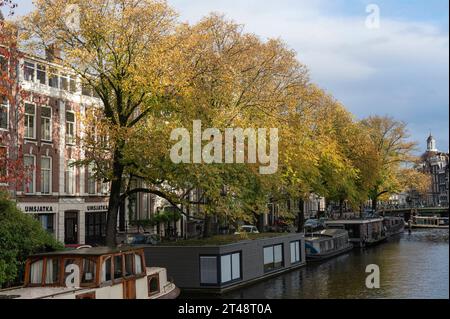 Amsterdam, pays-Bas. 29 octobre 2023. Superbes couleurs automnales sur les canaux d'Amsterdam. Grachten, arbres, chute, herfst, Brouwersgracht, Woonboot, woonboten, péniches, crédit : Imago/Alamy Live News Banque D'Images