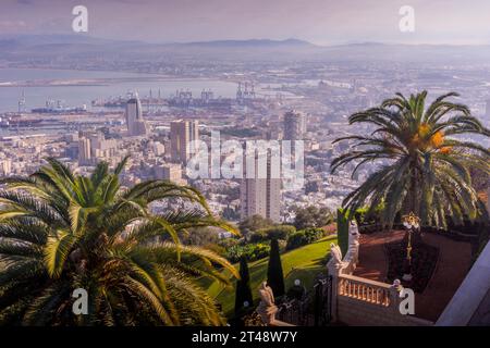 Le panoramique panoramique de la ville israélienne de Haïfa entre les palmiers des jardins Bahai. Banque D'Images