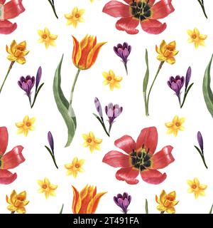 Fleurs de crocus, jonquilles, tulipes, feuilles sont faites à l'aquarelle sur un fond blanc à l'aquarelle. Idéal pour l'emballage, les cartes de voeux, le tissu Banque D'Images