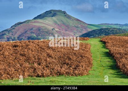 CAER Caradoc, vue depuis Ragleth Hill, Church Stretton, Shropshire Banque D'Images