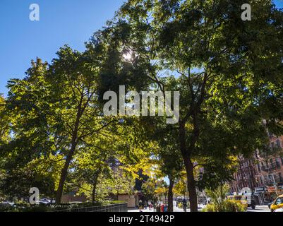 Les arbres de Chelsea, dans l'État de New York, n'ont pas encore atteint le sommet de leur feuillage d'automne, vu le lundi 23 octobre 2023. Les météorologues prédisent la semaine prochaine. (© Richard B. Levine) Banque D'Images