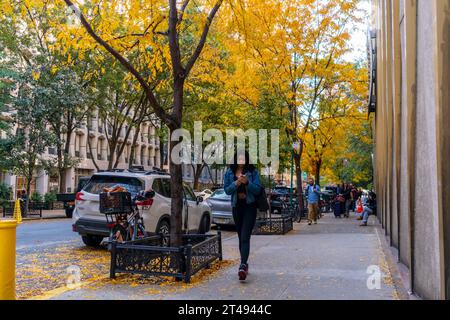 Feuillage d'automne à Chelsea à New York devant le Fashion Institute of Technology le jeudi 26 octobre 2023. (© Richard B. Levine) Banque D'Images
