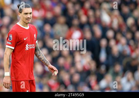 Liverpool, Royaume-Uni. 29 octobre 2023. Darwin Nunez de Liverpool regarde. Match de Premier League, Liverpool contre Nottingham Forest à Anfield à Liverpool le dimanche 29 octobre 2023. Cette image ne peut être utilisée qu'à des fins éditoriales. Usage éditorial uniquement, photo de Chris Stading/Andrew Orchard photographie sportive/Alamy Live News crédit : Andrew Orchard photographie sportive/Alamy Live News Banque D'Images