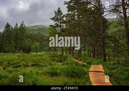 La vue depuis un sentier de randonnée de la montagne Ulriken, le point culminant des sept montagnes près de la ville de Bergen, Norvège. Une promenade guide les randonneurs Banque D'Images
