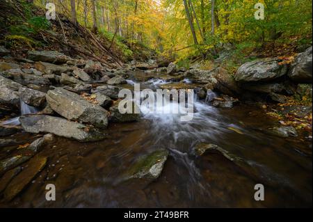 Big Hunting Creek dans les montagnes Catoctin entouré par les couleurs automnales des arbres en automne. Banque D'Images