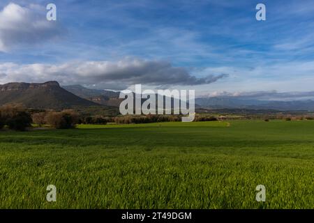 Champs verts et montagnes avec falaises près de Berga. Banque D'Images