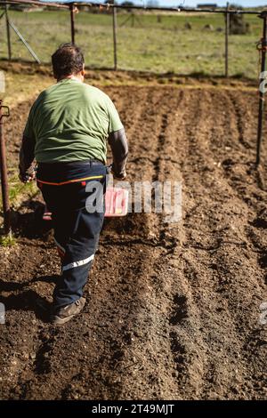 Homme retraité sur le dos labourant la terre avec un motoculteur pour la récolte. Préparer le champ pour la récolte Banque D'Images