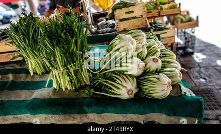 Puntarelle, une variété de chicorée en vente dans un marché fermier à Brindisi, Italie. Banque D'Images