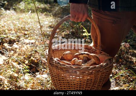 Panier avec une variété de champignons frais porté par un jeune homme actif en vêtements décontractés marchant le long du chemin forestier le jour de l'automne Banque D'Images